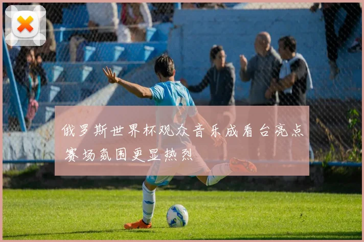 俄罗斯世界杯观众音乐成看台亮点 赛场氛围更显热烈