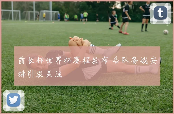 酋长杯世界杯赛程发布 各队备战安排引发关注