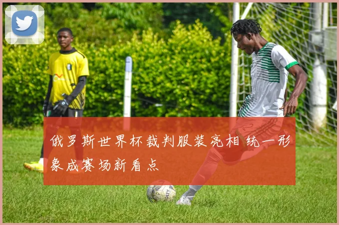 俄罗斯世界杯裁判服装亮相 统一形象成赛场新看点