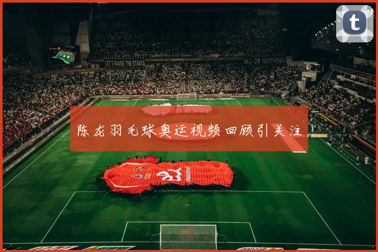 陈龙羽毛球奥运视频回顾引关注