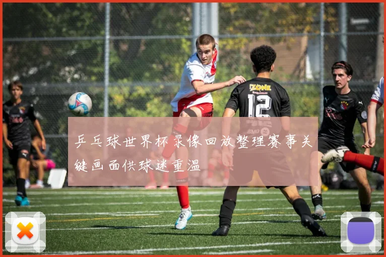 乒乓球世界杯录像回放整理赛事关键画面供球迷重温