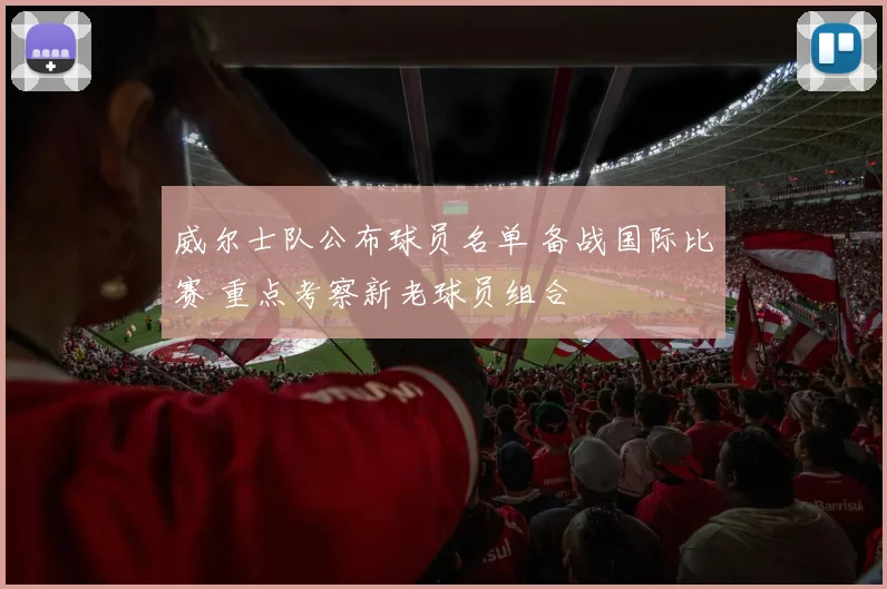 威尔士队公布球员名单 备战国际比赛 重点考察新老球员组合