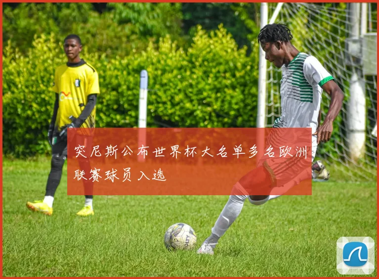 突尼斯公布世界杯大名单多名欧洲联赛球员入选