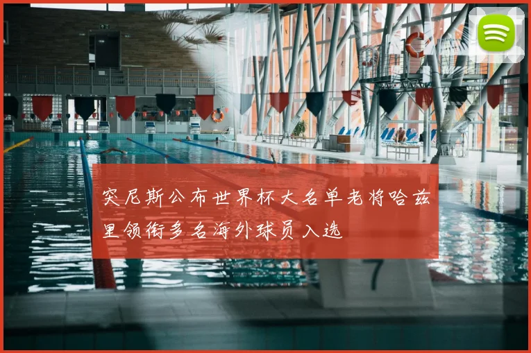 突尼斯公布世界杯大名单老将哈兹里领衔多名海外球员入选