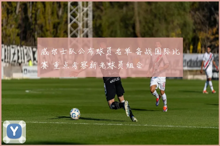 威尔士队公布球员名单 备战国际比赛 重点考察新老球员组合