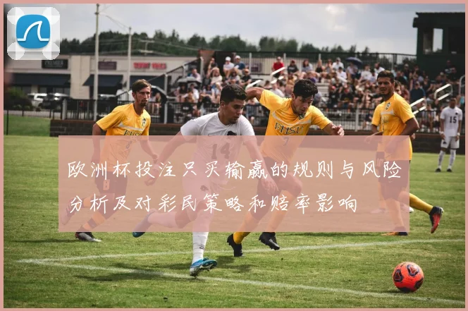欧洲杯投注只买输赢的规则与风险分析及对彩民策略和赔率影响