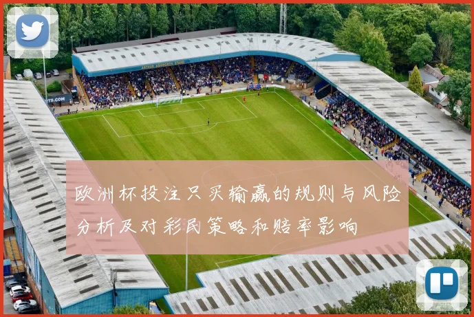 欧洲杯投注只买输赢的规则与风险分析及对彩民策略和赔率影响