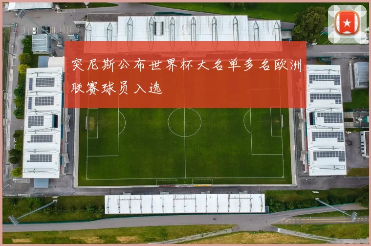 突尼斯公布世界杯大名单多名欧洲联赛球员入选