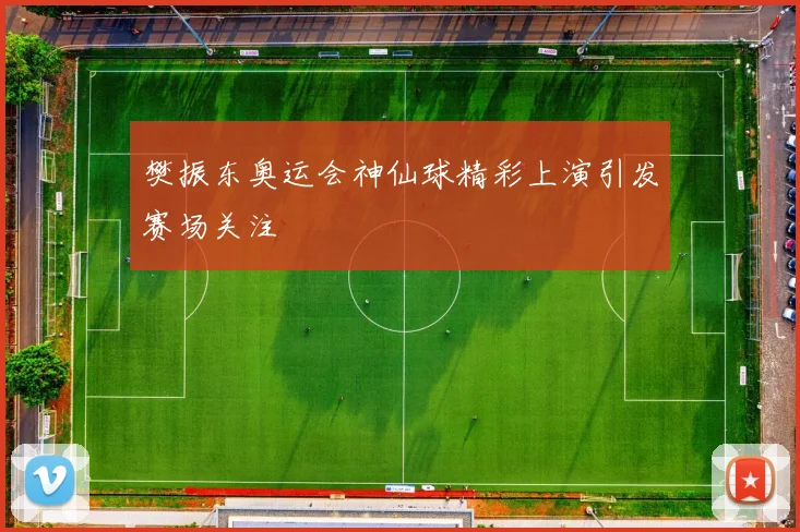 樊振东奥运会神仙球精彩上演引发赛场关注