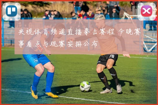 央视体育频道直播拳击赛程 今晚赛事看点与观赛安排公布